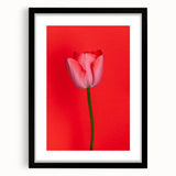 Extra large abstract art print featuring vibrant spring colors on textured canvas, framed in black.