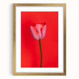 Extra large abstract art print in textured style, featuring spring-themed colors on a gold-framed canvas.