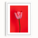 Abstract art print featuring swirling spring colors on a white framed canvas, suitable for bedroom or dining room decor.
