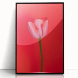 Large abstract wall art featuring spring-themed colors on black framed acrylic, ideal for modern living room decor.