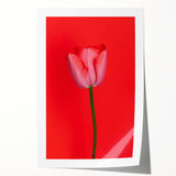 Extra large rolled print of spring floral art with soft pastel colors, ideal for dining room or bathroom wall decor.