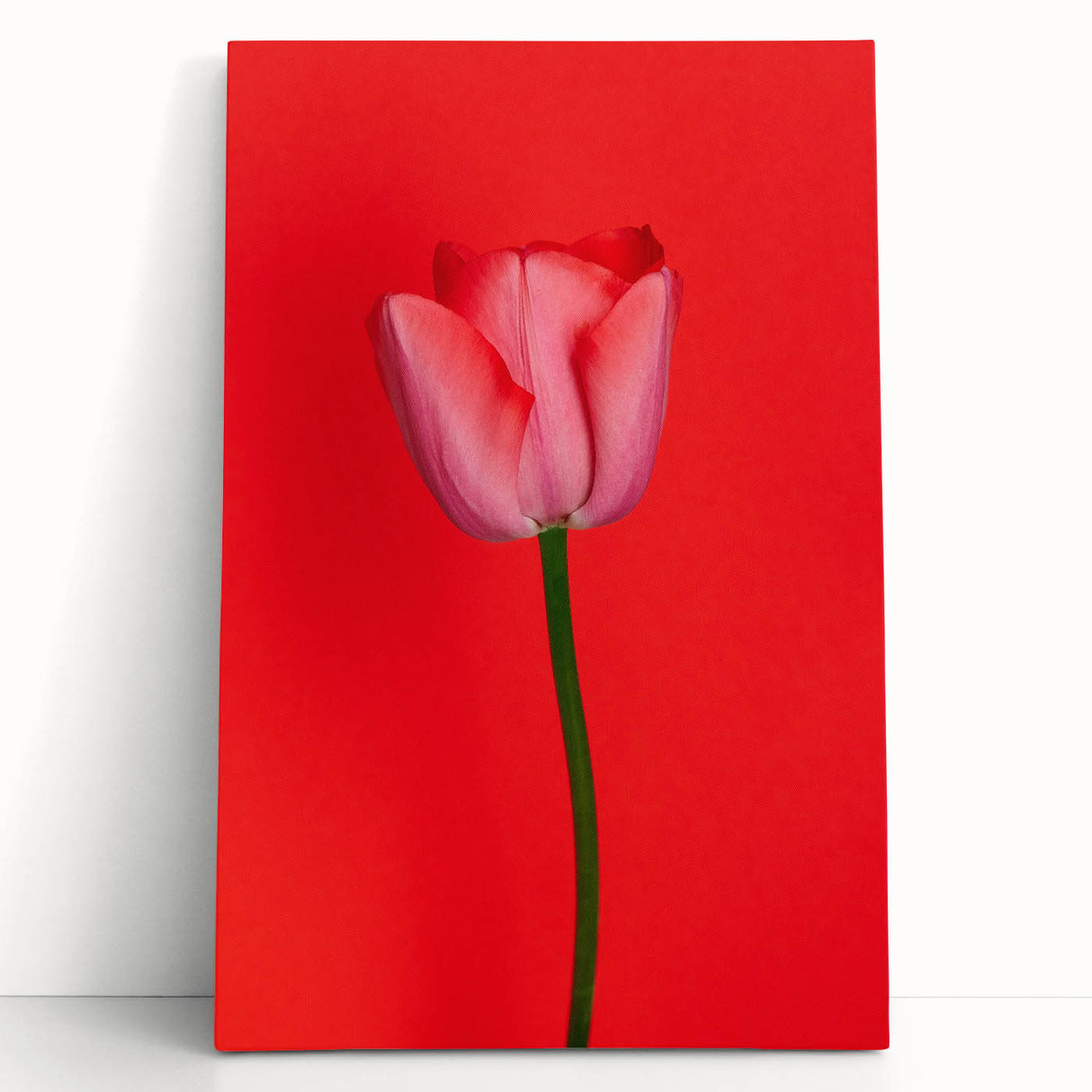 Large black and white stretched canvas featuring a minimalist spring design, ideal for kitchen wall art or bedroom ambiance.