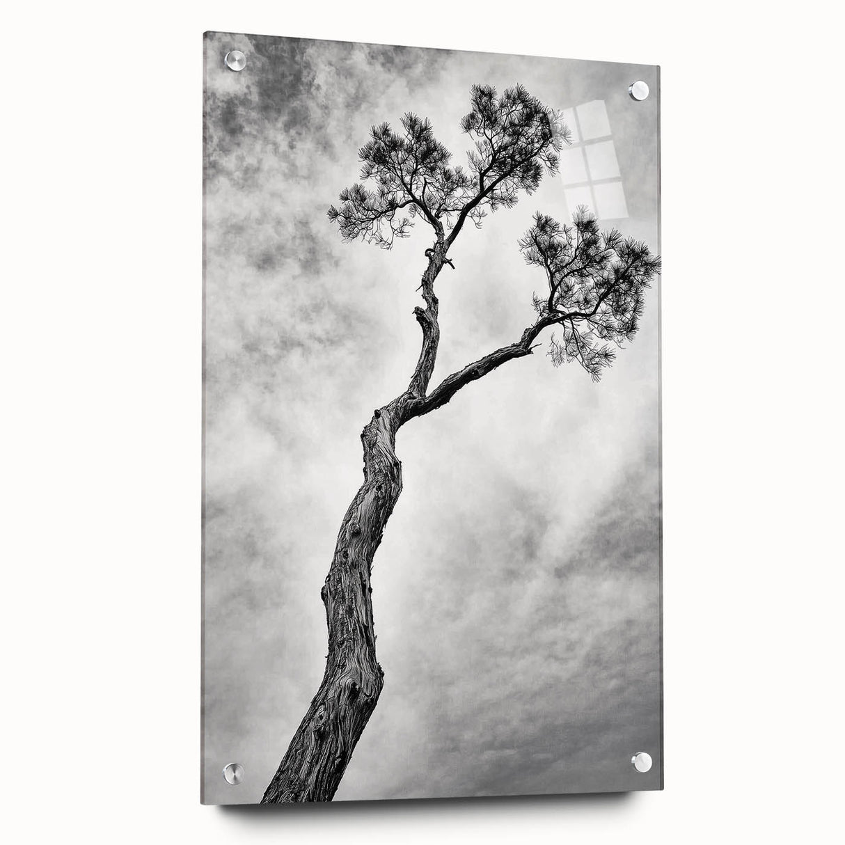 Minimalist Tree Silhouette – Modern Black & White Wall Art