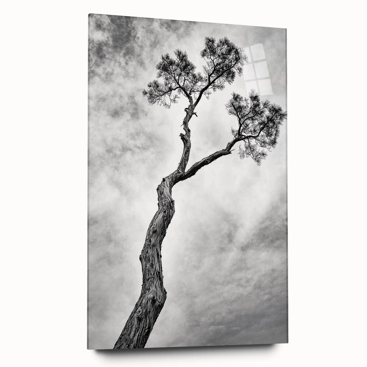 Minimalist Tree Silhouette – Modern Black & White Wall Art