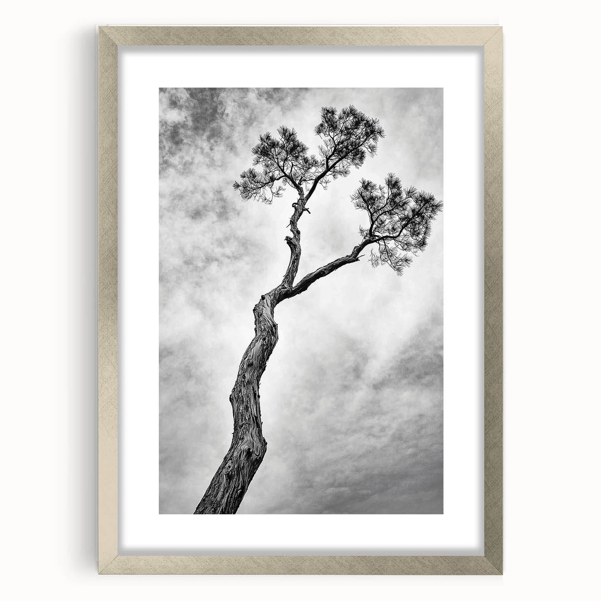 Minimalist Tree Silhouette – Modern Black & White Wall Art