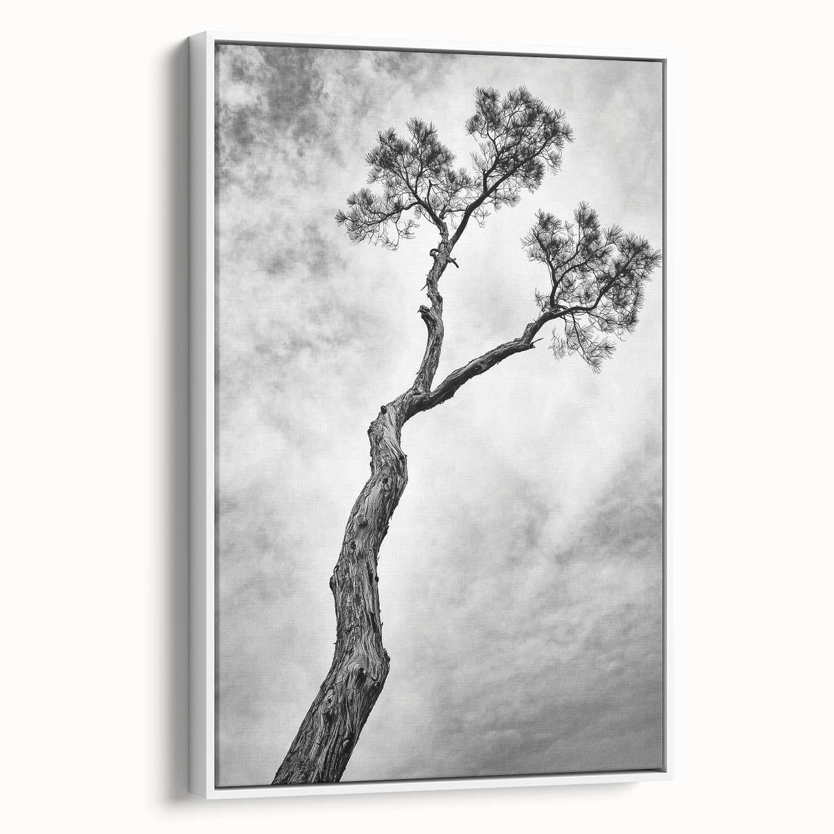 Minimalist Tree Silhouette – Modern Black & White Wall Art