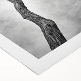 Minimalist Tree Silhouette – Modern Black & White Wall Art