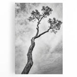 Minimalist Tree Silhouette – Modern Black & White Wall Art
