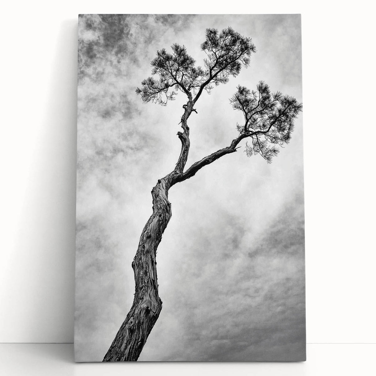 Minimalist Tree Silhouette – Modern Black & White Wall Art