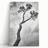 Minimalist Tree Silhouette – Modern Black & White Wall Art