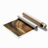 Rolled print showcasing a vibrant landscape featuring a majestic castle surrounded by lush greenery and a clear blue sky, elegantly packaged in a protective cardboard tube.