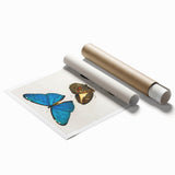 Romanticism Art: Butterfly Illustrations on Historical Canvas Print