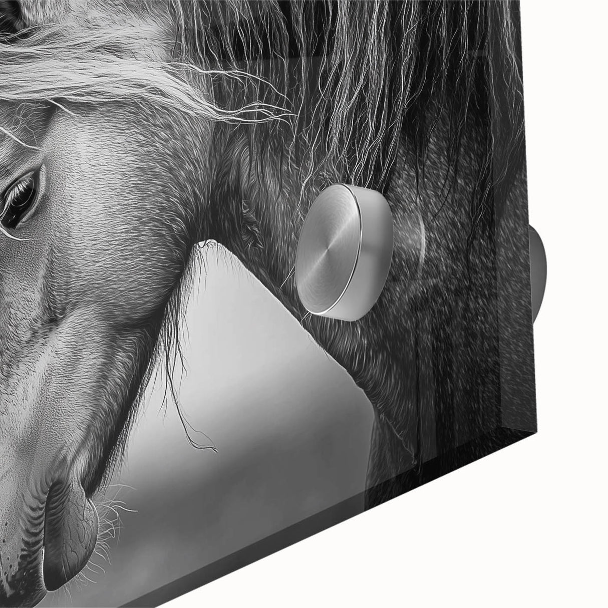 Close-up of an acrylic glass artwork showcasing vibrant animal designs with intricate details, perfect for modern home decor and art enthusiasts.