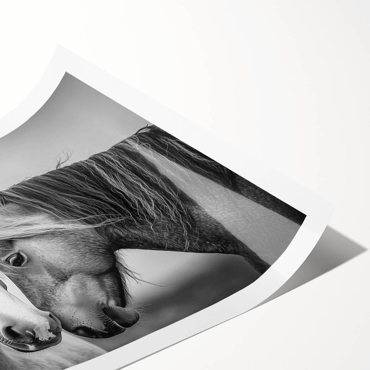 Rolled canvas print showcasing a vibrant jungle animal design, featuring colorful depictions of various wildlife, perfect for home decor or children's rooms, securely rolled in a protective cardboard tube.
