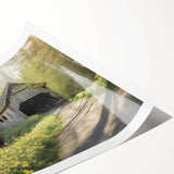 Extra large wall art featuring line art flowers on a rolled print, using monochrome tones, ideal for large living room decor.