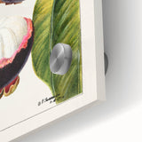 Close-up of large abstract wall art featuring assorted fruits in bright, vivid colors on acrylic glass.