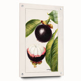 Large abstract wall art featuring assorted fruits in vibrant colors on acrylic glass, ideal for dining room decor.