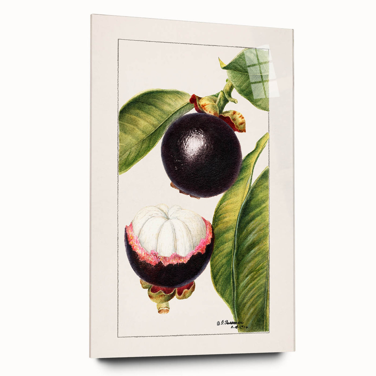 Large abstract wall art featuring vibrant fruits on acrylic glass, ideal for bedroom or dining room decor.