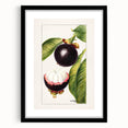 Abstract art print featuring textured, colorful fruits in a large black frame, ideal for living room decor.