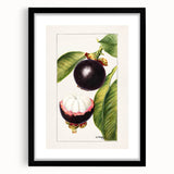 Abstract art print featuring textured, colorful fruits in a large black frame, ideal for living room decor.
