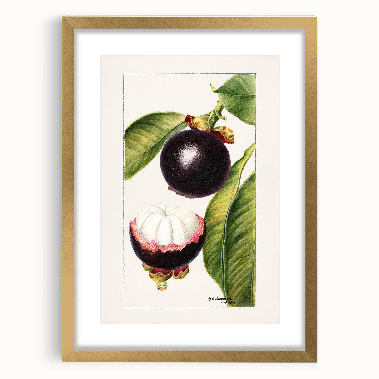 Extra large framed wall art featuring an abstract pattern of vibrant, textured fruit designs, ideal for living room decor.