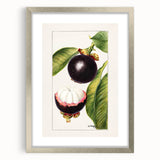 Textured abstract art print of assorted fruits in muted earth tones, framed in silver, ideal for kitchen wall decor.