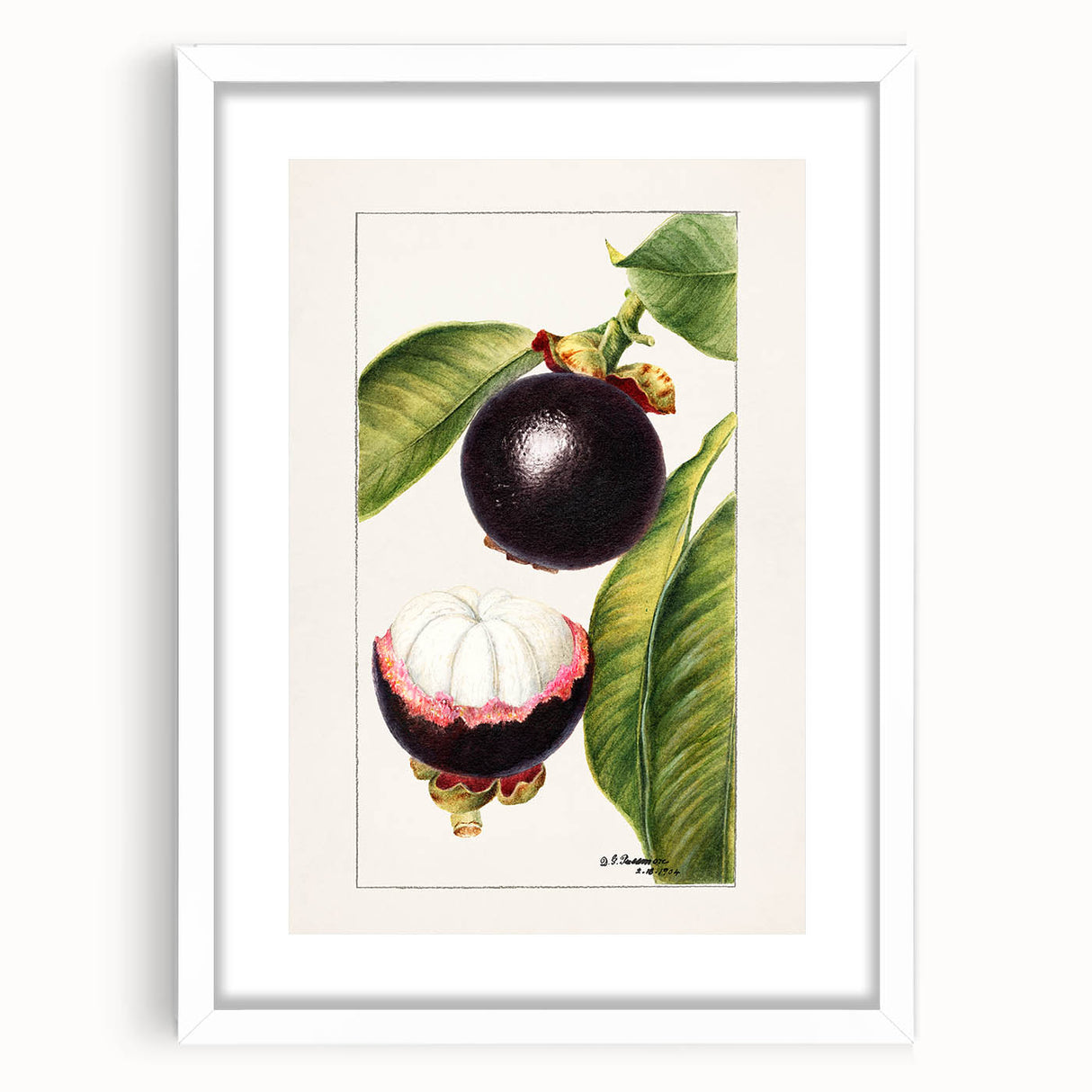 Abstract art print of colorful fruits in muted pastel shades, framed in white, ideal for dining room decor.