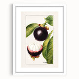 Abstract art print of colorful fruits in muted pastel shades, framed in white, ideal for dining room decor.
