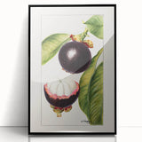 Large abstract wall art featuring an assortment of fruits in bold, colorful strokes on a framed acrylic.