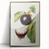 Large art print featuring an assortment of colorful fruits on a gold-framed acrylic, in a mid-century modernist style.