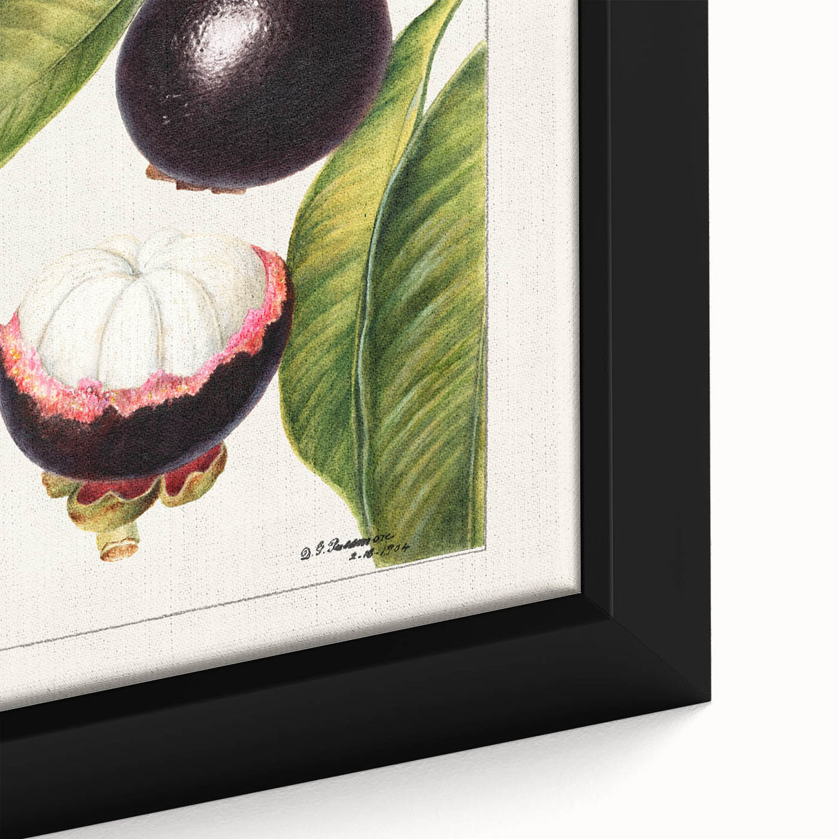 Extra large black wall art featuring a close-up of colorful, textured fruits on framed canvas, ideal for living room decor.