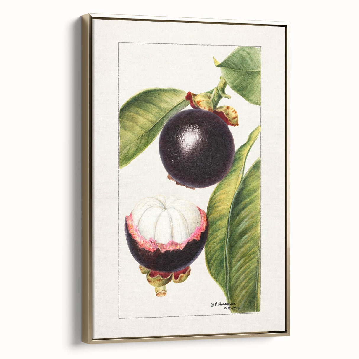 Framed canvas featuring a vintage poster of assorted fruits in muted colors, ideal for bedroom wall art.