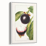 Vintage poster art featuring colorful fruits on a white framed canvas, ideal for living room decor.