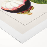 Art deco poster featuring assorted fruits in bold, colorful detail on rolled canvas, ideal for dining room wall art.