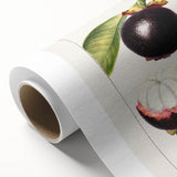 Art Deco style poster of colorful fruits on rolled canvas, ideal for nursery wall art or dining room decor.