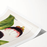 Extra large wall art depicting line art flowers in monochrome, printed on rolled canvas.