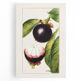 Black and white large art print of assorted fruits on stretched canvas, ideal for kitchen wall art.