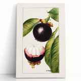 Black and white stretched canvas featuring an assortment of fruits, ideal for kitchen wall art.