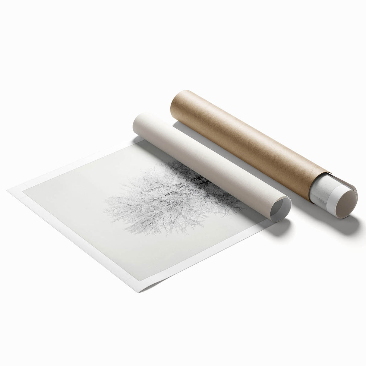 Rolled print showcasing a serene countryside landscape with vibrant green fields and a blue sky, elegantly packaged in a protective cardboard tube for easy transport.