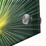 Close-up floral acrylic print in muted green and pink, ideal for dining room art in a mid-century modernist style.