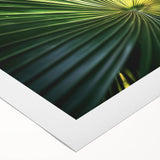 Art Deco-style floral poster in muted green and pink tones on rolled canvas, suitable for dining room or bathroom wall art.