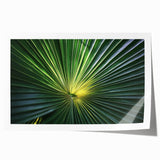 Close-up floral art on rolled print with vivid pink and green tones, ideal for dining room or bathroom wall decor.