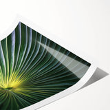 Extra large wall art featuring line art flowers in black and white on a rolled print, ideal for large living room decor.