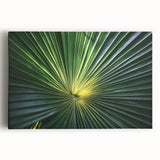 Black and white close-up floral image on large stretched canvas, suitable for kitchen wall art.