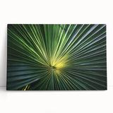 Black and white floral close-up on stretched canvas, ideal for kitchen wall art or bedroom ambiance.