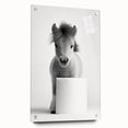 Adorable Pony Bathroom Wall Art - Modern Black and White Decor
