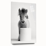 Adorable Pony Bathroom Wall Art - Modern Black and White Decor