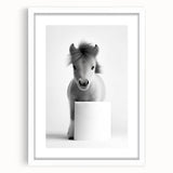 Adorable Pony Bathroom Wall Art - Modern Black and White Decor