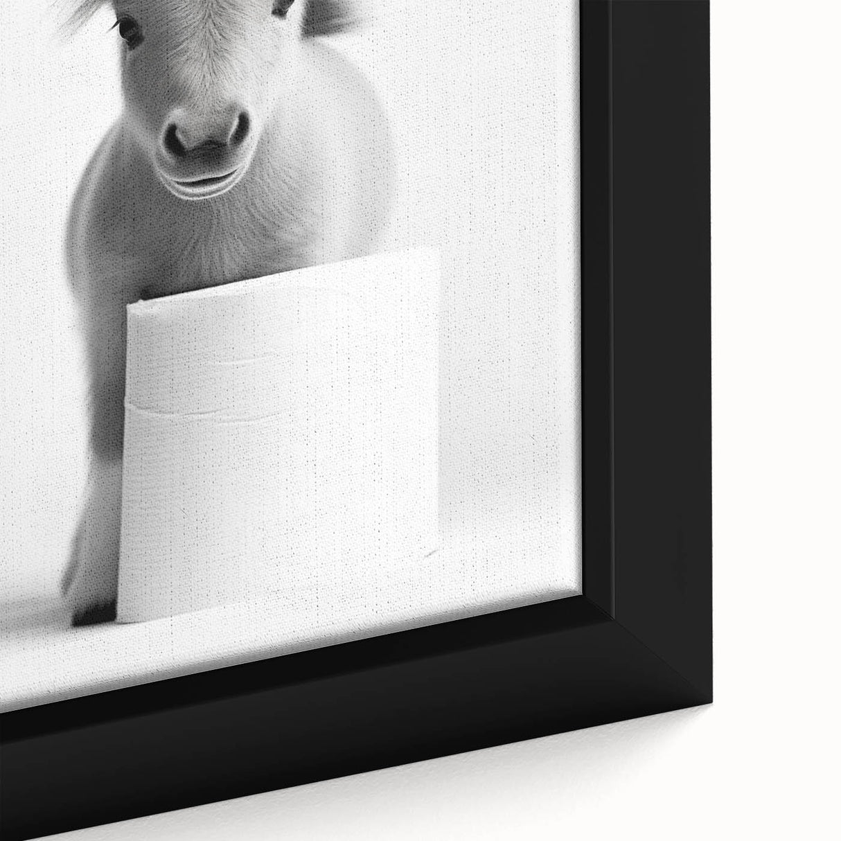 Adorable Pony Bathroom Wall Art - Modern Black and White Decor