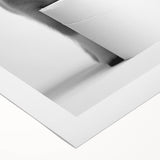 Adorable Pony Bathroom Wall Art - Modern Black and White Decor